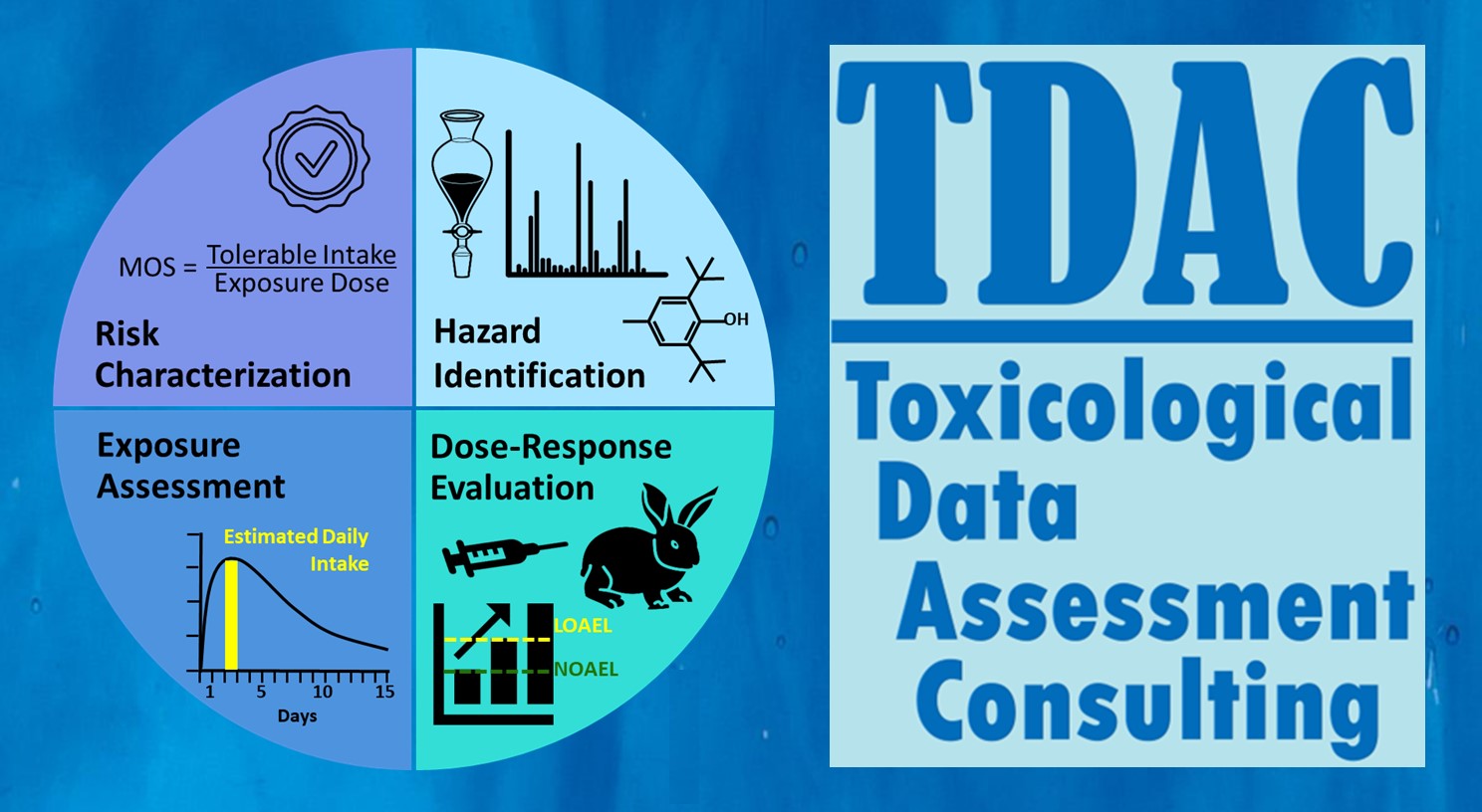 Toxicological Data Assessment Consulting, LLC